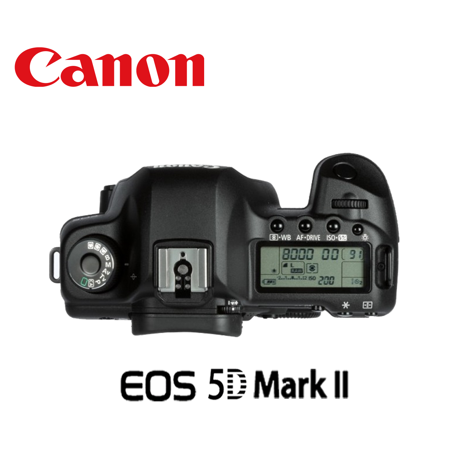 Canon 5d Autofocus Canon EOS 5D Mark II Body Mega City